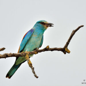 Sortida als Secans de Lleida